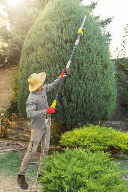 Best Utility Line Clearance  in Nibley, UT